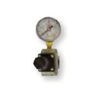 RTi RG25 Regulator and Gauge Assembly 1/4 in