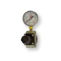 RTi RG30 Regulator and Gauge Assembly 3/8 in