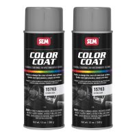 Color Coat Storm Gray 12 oz (2/Pack)