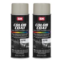 Color Coat Shale 12 oz (2/Pack)