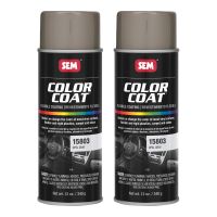 Color Coat Opel Gray 12 oz (2/Pack)