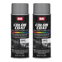 Color Coat Med Dk Pewter 12 oz (2/Pack)