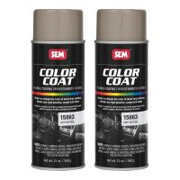 Color Coat Lt Neutral 12 oz (2/Pack)