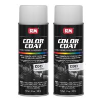 Color Coat High Gloss Clear 12 oz (2/Pack)