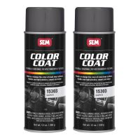 Color Coat Graphite 12 oz. (2/Pack)