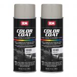 Color Coat Warm Gray 12 oz. (2/Pack)