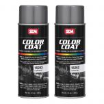 Color Coat Titanium Metallic 12 oz (2/Pack)